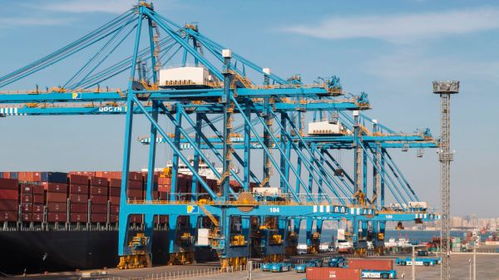 沿黃及新疆十省區共繪藍圖 協力共建國際物流大通道，賦能貨物運輸代理新格局